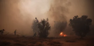 Δύο συλλήψεις στην Κορινθία για πυρκαγιά που προκλήθηκε από βραχυκύκλωμα σε φωτοβολταϊκό πάρκο