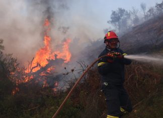Φωτιά στη Χαλκιδική: Καίγονται σπίτια, μπαράζ 112 για εκκενώσεις, ενισχύονται οι πυροσβεστικές δυνάμεις – (VIDEO-ΦΩΤΟ)