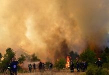 Εμφανίστηκε ο επιχειρηματίας που αναζητούνταν για τη φωτιά στη Βοιωτία – Απολογείται την Τρίτη στον Ανακριτή