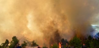 Εμφανίστηκε ο επιχειρηματίας που αναζητούνταν για τη φωτιά στη Βοιωτία – Απολογείται την Τρίτη στον Ανακριτή