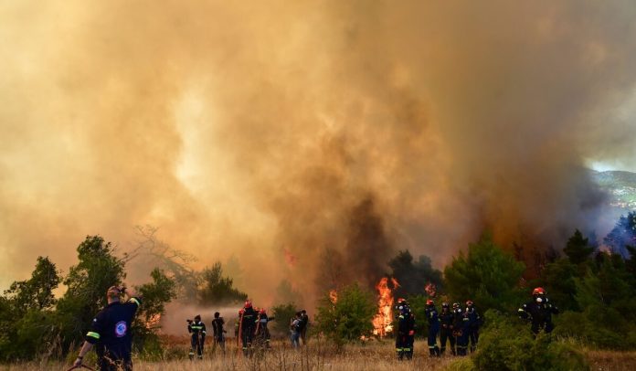 Εμφανίστηκε ο επιχειρηματίας που αναζητούνταν για τη φωτιά στη Βοιωτία – Απολογείται την Τρίτη στον Ανακριτή