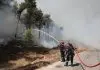 Φωτιά τώρα στη Νέα Τρίγλια Χαλκιδικής – Σε εξέλιξη επιχείρηση κατάσβεσης