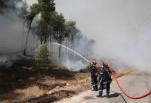 Φωτιά τώρα στη Νέα Τρίγλια Χαλκιδικής – Σε εξέλιξη επιχείρηση κατάσβεσης