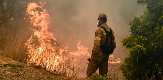 «Μας έστειλαν να σβήσουμε φωτιά σε παλιό πεδίο βολής χωρίς καμία ενημέρωση» – Σοβαρή καταγγελία της ΟΣΑΚ