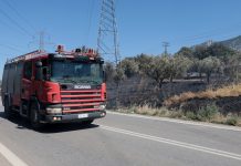 Φωτιά σε δασική έκταση στην Κόνιτσα