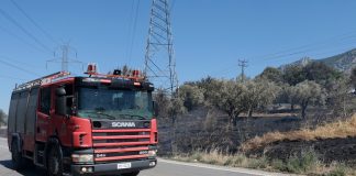 Φωτιά στη Βοιωτία: Αναζωπύρωση στη Λιβαδόστρα – Μήνυμα από το 112 για εκκένωση