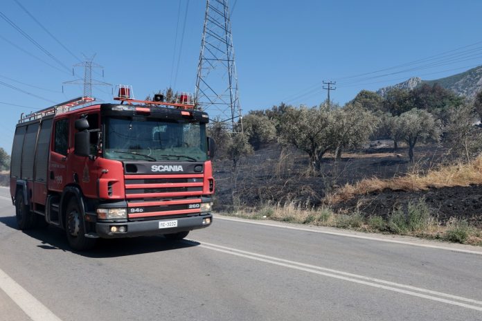 Φωτιά στη Βοιωτία: Αναζωπύρωση στη Λιβαδόστρα – Μήνυμα από το 112 για εκκένωση