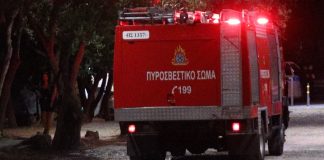 Καρπενήσι:Οριοθετήθηκε η πυρκαγιά στο Λαγόξυλο