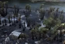 Ρέθυμνο: Ξεκίνησαν οι αυτοψίες στις πυρόπληκτες περιοχές του Δήμου Αγίου Βασιλείου