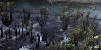 Ρέθυμνο: Ξεκίνησαν οι αυτοψίες στις πυρόπληκτες περιοχές του Δήμου Αγίου Βασιλείου
