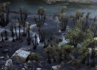 Ρέθυμνο: Ξεκίνησαν οι αυτοψίες στις πυρόπληκτες περιοχές του Δήμου Αγίου Βασιλείου