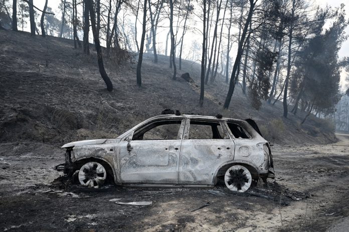 Φωτιά στη Χαλκιδική: Σήμερα η σύσκεψη υπό τον Κ. Κατσαφάδο, παρουσία του Μ. Σχοινά, για τις απαιτούμενες παρεμβάσεις