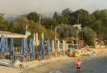 Χαλκιδική: Ξεκίνησε η υποβολή αιτήσεων κρατικής αρωγής σε επιχειρήσεις που επλήγησαν από την πυρκαγιά στη Σίβηρη