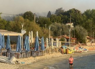 Χαλκιδική: Ξεκίνησε η υποβολή αιτήσεων κρατικής αρωγής σε επιχειρήσεις που επλήγησαν από την πυρκαγιά στη Σίβηρη