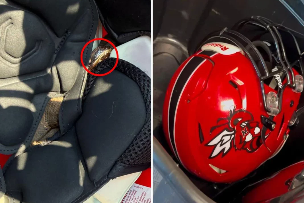 usa-snake-helmet