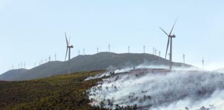 Τι έδειξε η αυτοψία στο Αιολικό Πάρκο από το οποίο ξεκίνησε η μεγάλη φωτιά στη Βοιωτία
