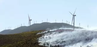 Τι έδειξε η αυτοψία στο Αιολικό Πάρκο από το οποίο ξεκίνησε η μεγάλη φωτιά στη Βοιωτία