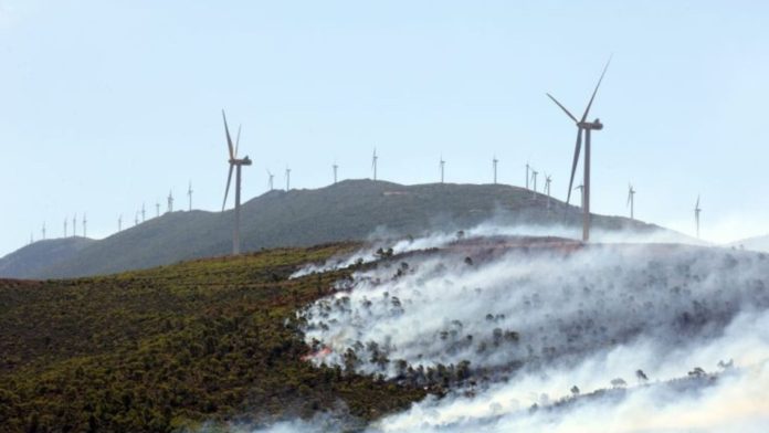 Τι έδειξε η αυτοψία στο Αιολικό Πάρκο από το οποίο ξεκίνησε η μεγάλη φωτιά στη Βοιωτία