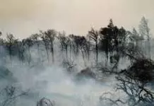 Από τον «στρατηγό άνεμο» του Πολύδωρα στον «Τυφώνα» του Μητσοτάκη
