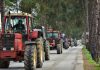 Καπούνης για εξαγγελίες Μητσοτάκη: Οι αγρότες δε βγάζουν 20.000 ευρώ, δεν έχουν μαντήλι να κλάψουν