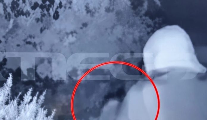 σοκ λαμία λιθοβόλησαν έσερναν κουτάβια - Σοκ στη Λαμία: Λιθοβόλησαν και έσερναν κουτάβια από το λαιμό με μεσινέζα