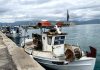 Στο ναδίρ οι αλιείς εξαιτίας της τιμής του πετρελαίου – “Θα αποκλείσουμε επ’ αόριστον λιμάνια και ιχθυόσκαλες”