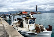 Στο ναδίρ οι αλιείς εξαιτίας της τιμής του πετρελαίου – “Θα αποκλείσουμε επ’ αόριστον λιμάνια και ιχθυόσκαλες”