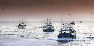 «Επιτάσσουν» Έλληνες ψαράδες για επιχειρήσεις έρευνας-διάσωσης μεταναστών στο Αιγαίο «Επιτάσσουν» Έλληνες ψαράδες για επιχειρήσεις έρευνας-διάσωσης μεταναστών στο Αιγαίο