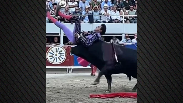 Σκληρές εικόνες: Η στιγμή που ο «Μέσι των ταυρομάχων» παγιδεύεται στα κέρατα ταύρου, κινδύνευσε η ζωή του-(VIDEO)