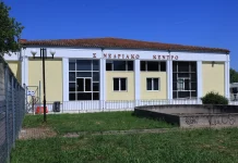 Δίκη για Τέμπη: Δεκτό από το δικαστήριο το αίτημα άρσης απορρήτου του τηλεφώνου σταθμάρχη Βασίλη Σαμαρά