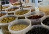 Πράσινη ελιά: «Θα τις αφήσουμε να τις φάνε τα πουλιά» – Σε απόγνωση οι παραγωγοί
