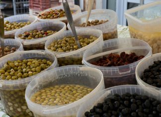 Πράσινη ελιά: «Θα τις αφήσουμε να τις φάνε τα πουλιά» – Σε απόγνωση οι παραγωγοί