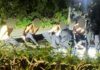 Βρετανία: Η Δύναμη Κουντς του Ιράν πίσω από τους 5 τρομοκράτες στην αεροπορική βάση; Βρετανία: Η Δύναμη Κουντς του Ιράν πίσω από τους 5 τρομοκράτες στην αεροπορική βάση;