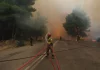 Ανεξέλεγκτη η φωτιά στην Εύβοια – Κάηκαν μαντριά, αποθήκες και καλλιέργειες Ανεξέλεγκτη η φωτιά στην Εύβοια – Κάηκαν μαντριά, αποθήκες και καλλιέργειες