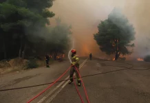 Ανεξέλεγκτη η φωτιά στην Εύβοια – Κάηκαν μαντριά, αποθήκες και καλλιέργειες