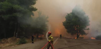 Ανεξέλεγκτη η φωτιά στην Εύβοια – Κάηκαν μαντριά, αποθήκες και καλλιέργειες