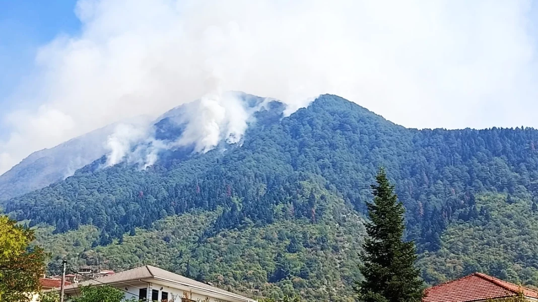 fotia-konitsa-new Θαύμα-Θαύμα!!! Μετά από 21 μέρες τέθηκε υπό έλεγχο η πυρκαγιά στην Τραπεζίτσα Κόνιτσας - Έκαψε περίπου 10.000…