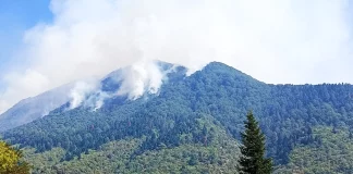 Θαύμα-Θαύμα!!! Μετά από 21 μέρες τέθηκε υπό έλεγχο η πυρκαγιά στην Τραπεζίτσα Κόνιτσας – Έκαψε περίπου 10.000 στρέμματα δάσους Θαύμα-Θαύμα!!! Μετά από 21 μέρες τέθηκε υπό έλεγχο η πυρκαγιά στην Τραπεζίτσα Κόνιτσας - Έκαψε περίπου 10.000…