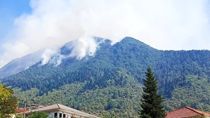 Θαύμα-Θαύμα!!! Μετά από 21 μέρες τέθηκε υπό έλεγχο η πυρκαγιά στην Τραπεζίτσα Κόνιτσας - Έκαψε περίπου 10.000…