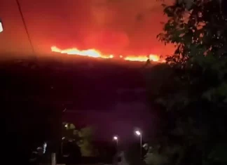 Φωτιά στη Φλώρινα: Ολονύχτια η μάχη με τις φλόγες, ενισχύθηκαν οι δυνάμεις – Εκκενώθηκε η Κρυσταλλοπηγή