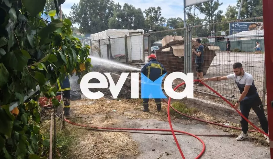 Φωτιά τώρα στη Χαλκίδα: Κοντά σε σπίτια οι φλόγες, χωρίς ρεύμα η περιοχή