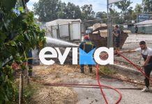 Φωτιά τώρα στη Χαλκίδα: Κοντά σε σπίτια οι φλόγες, χωρίς ρεύμα η περιοχή Φωτιά τώρα στη Χαλκίδα: Κοντά σε σπίτια οι φλόγες, χωρίς ρεύμα η περιοχή