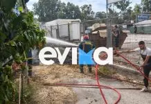 Φωτιά τώρα στη Χαλκίδα: Κοντά σε σπίτια οι φλόγες, χωρίς ρεύμα η περιοχή