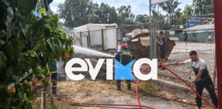 Φωτιά τώρα στη Χαλκίδα: Κοντά σε σπίτια οι φλόγες, χωρίς ρεύμα η περιοχή Φωτιά τώρα στη Χαλκίδα: Κοντά σε σπίτια οι φλόγες, χωρίς ρεύμα η περιοχή