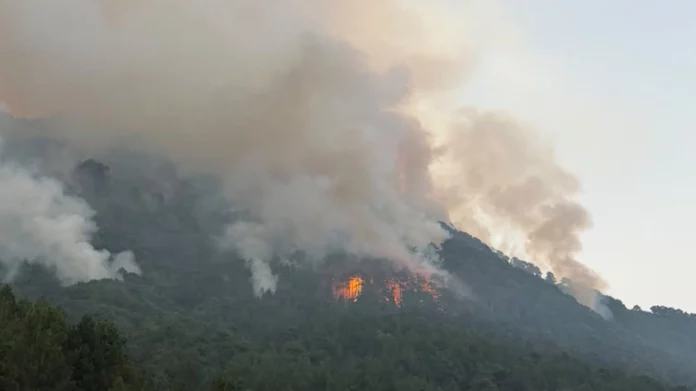 Ανεξέλεγκτη η φωτιά στην περιοχή της Τραπεζίτσας στην Κόνιτσα: Πάνω από 150 πυροσβέστες στη μάχη με τις φλόγες Ανεξέλεγκτη η φωτιά στην περιοχή της Τραπεζίτσας στην Κόνιτσα: Πάνω από 150 πυροσβέστες στη μάχη με τις φλόγες