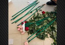 Τα τριαντάφυλλα έκρυβαν 84 κιλά κοκαΐνης, η επιχείρηση της ΑΑΔΕ σε ανθοπωλείο και σπίτι σε Αρτέμιδα και Μαραθώνα