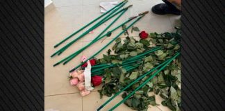 Τα τριαντάφυλλα έκρυβαν 84 κιλά κοκαΐνης, η επιχείρηση της ΑΑΔΕ σε ανθοπωλείο και σπίτι σε Αρτέμιδα και Μαραθώνα Τα τριαντάφυλλα έκρυβαν 84 κιλά κοκαΐνης, η επιχείρηση της ΑΑΔΕ σε ανθοπωλείο και σπίτι σε Αρτέμιδα και Μαραθώνα