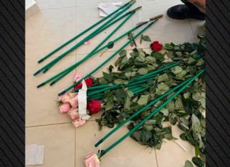 Τα τριαντάφυλλα έκρυβαν 84 κιλά κοκαΐνης, η επιχείρηση της ΑΑΔΕ σε ανθοπωλείο και σπίτι σε Αρτέμιδα και Μαραθώνα