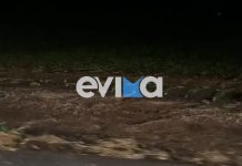 Προβλήματα από την κακοκαιρία στην Εύβοια: Κλειστoί δρόμοι, ζημιές σε σπίτια και κατολισθήσεις – (ΦΩΤΟ-VIDEO)