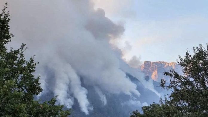 Φωτιά στην Κόνιτσα: Εκτός ελέγχου το μέτωπο στην Τραπεζίτσα – Πέρασε τη χαράδρα του Στομίου Φωτιά στην Κόνιτσα: Εκτός ελέγχου το μέτωπο στην Τραπεζίτσα – Πέρασε τη χαράδρα του Στομίου